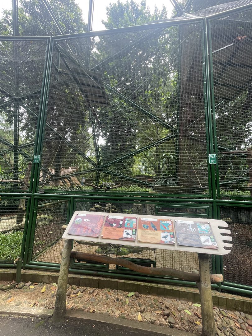 wallacea & sahul - aviary no. 8 - taman burung