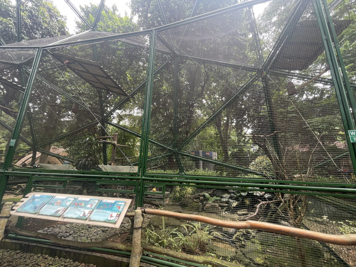 wallacea & sahul - aviary no. 9 - taman burung