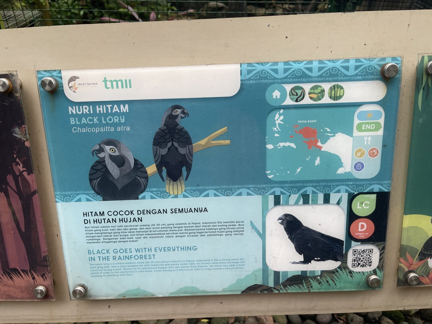 wallacea & sahul - black lory signage - taman burung