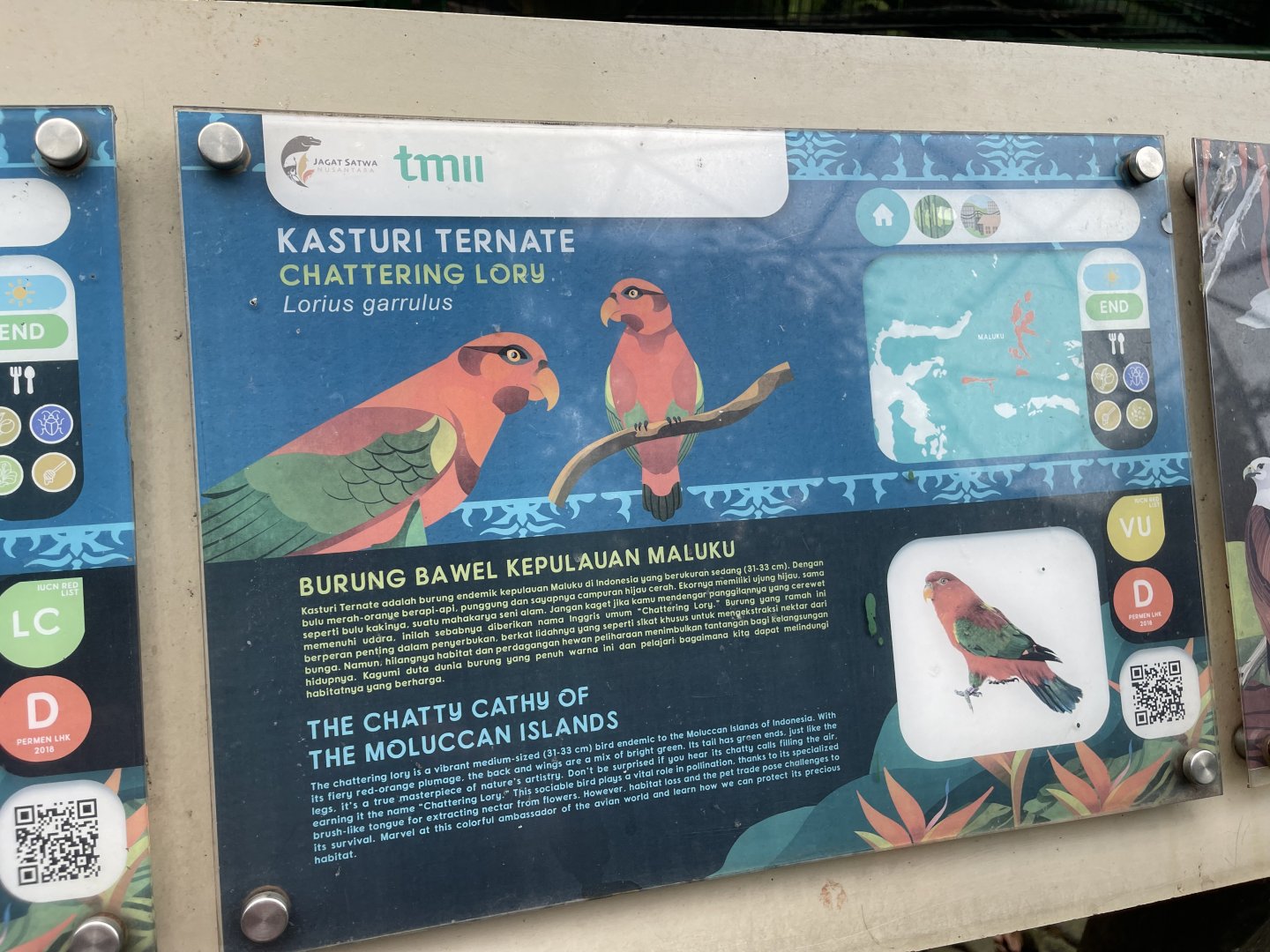 wallacea & sahul - chattering lory signage - taman burung