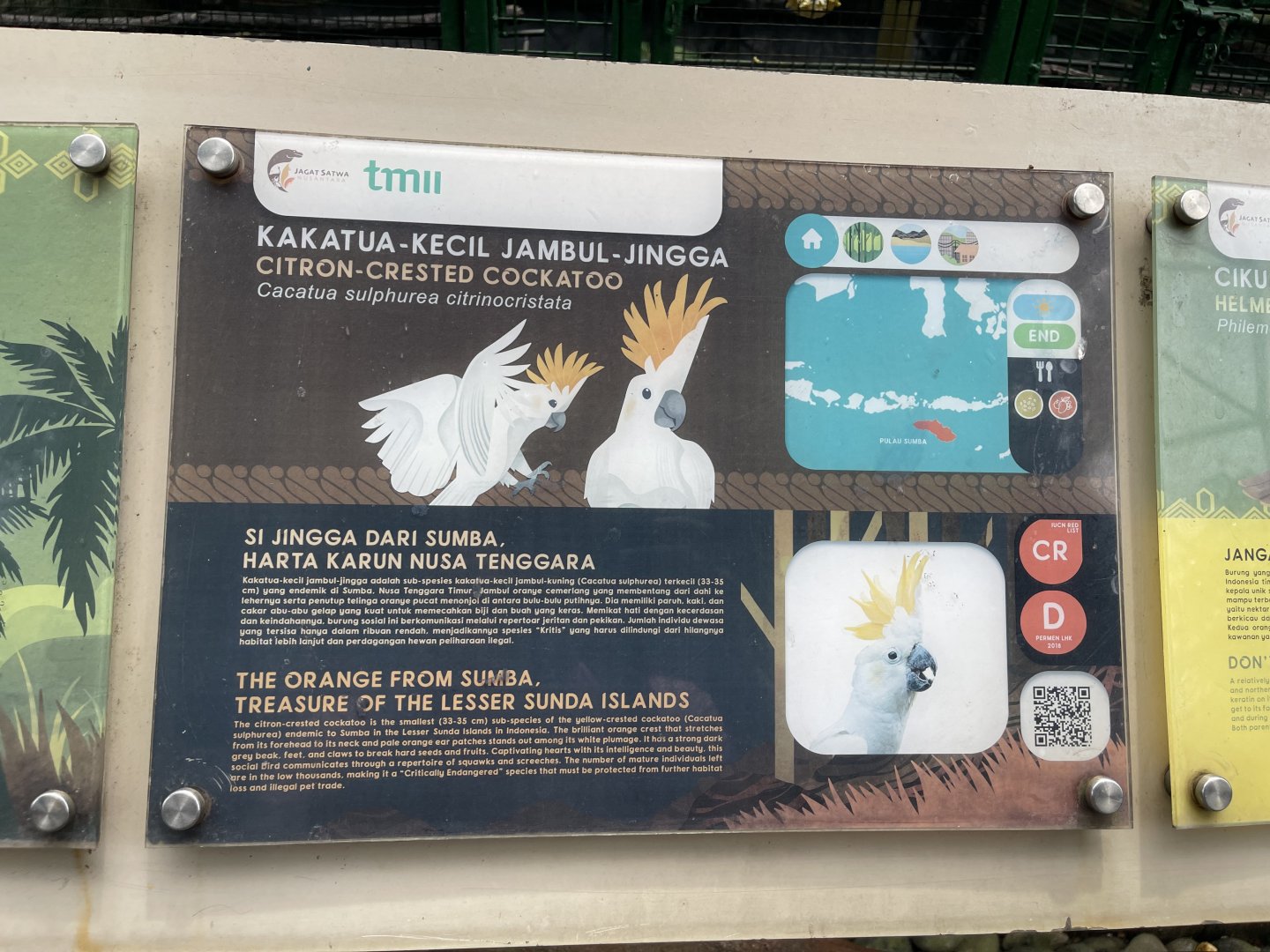 wallacea & sahul - citron-crested cockatoo signage - taman burung