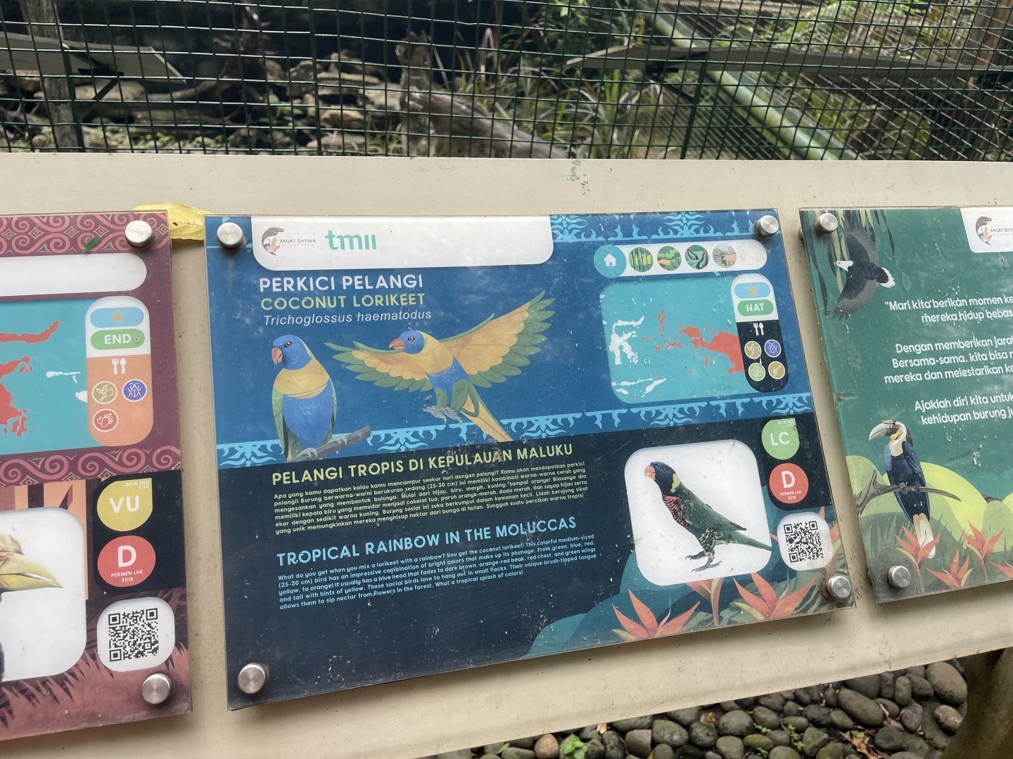 wallacea & sahul - coconut lorikeet signage - taman burung