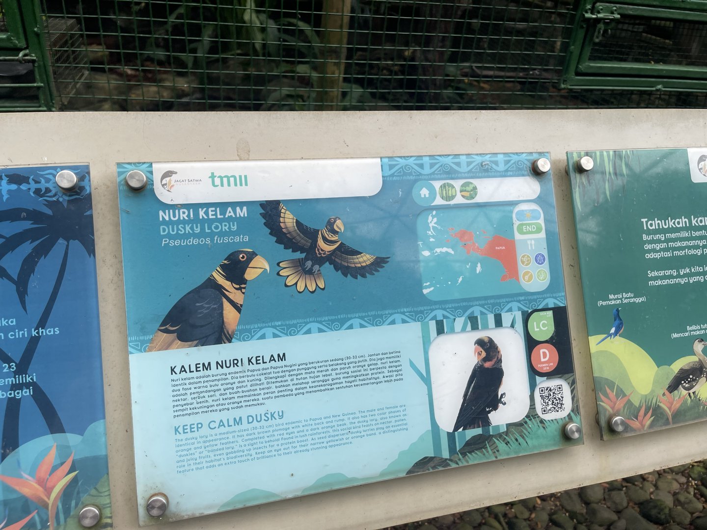 wallacea & sahul - dusky lory signage - taman burung