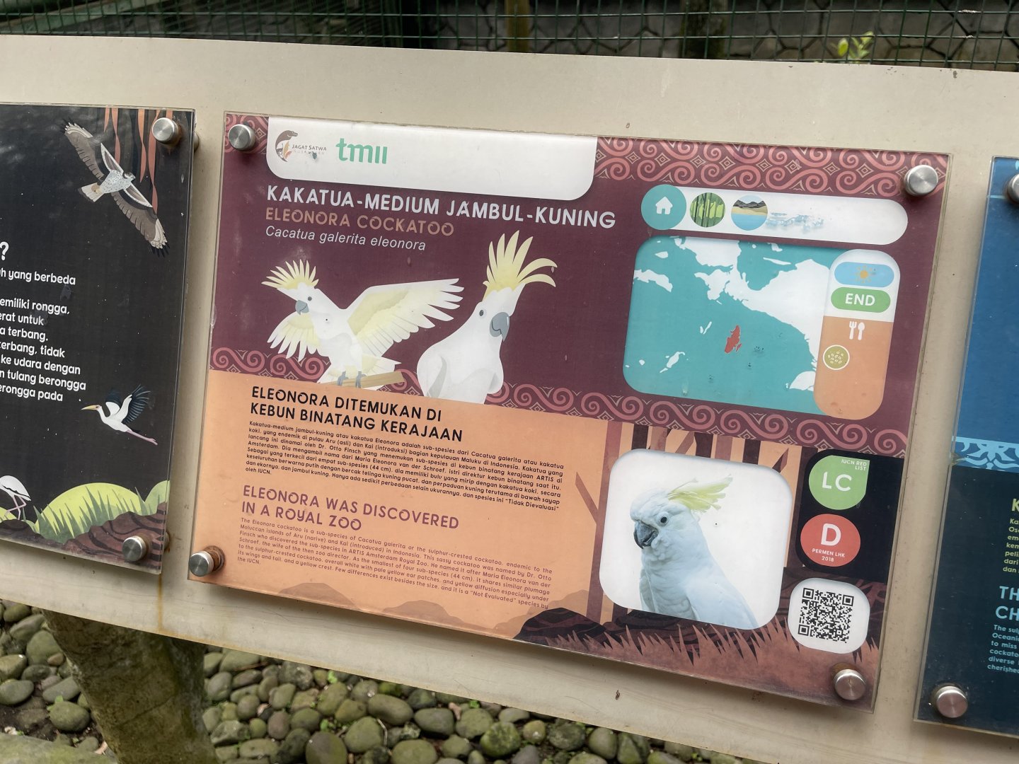wallacea & sahul - eleonora cockatoo signage - taman burung