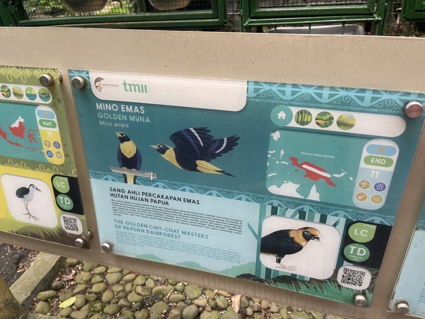 wallacea & sahul - golden myna signage - taman burung