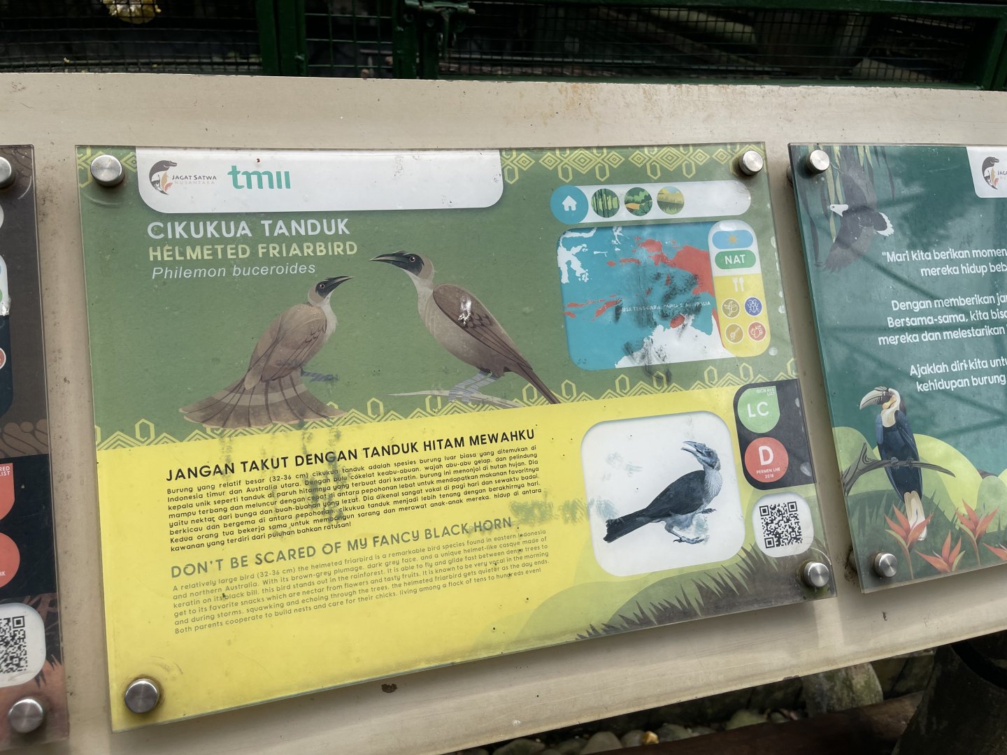 wallacea & sahul - helmeted friarbird signage - taman burung