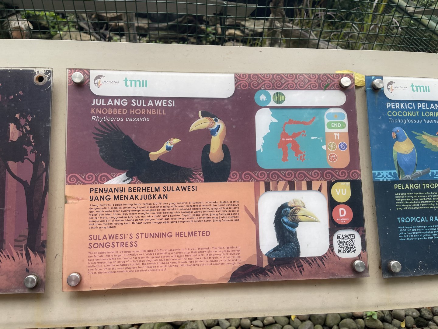 wallacea & sahul - knobbed hornbill signage - taman burung