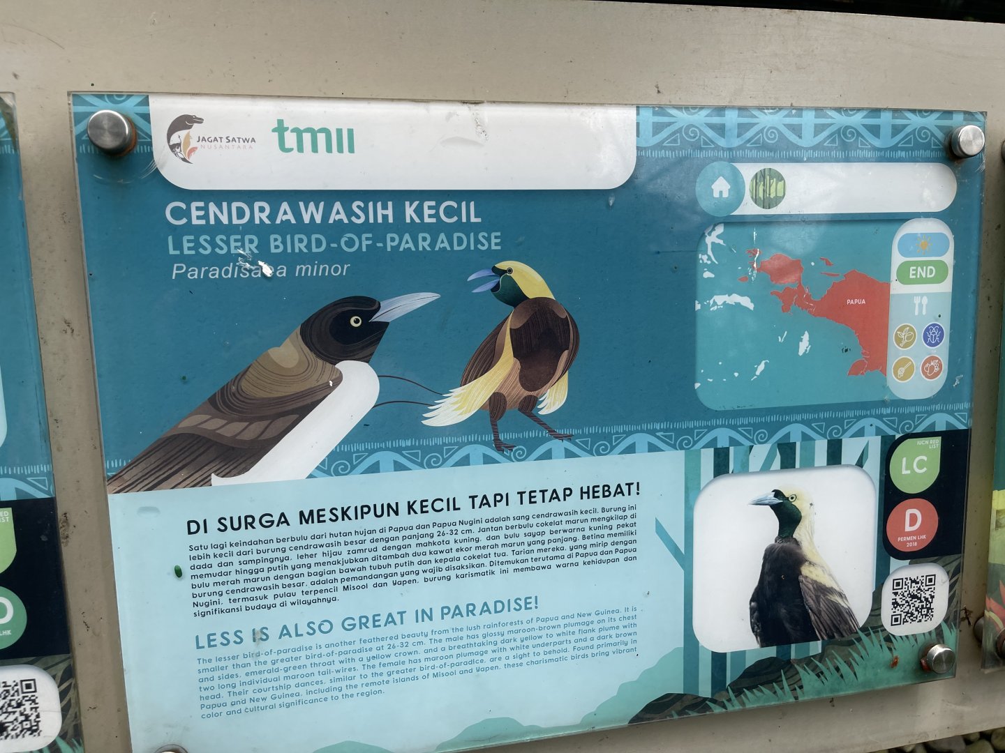 wallacea & sahul - lesser bird-of-paradise signage - taman burung
