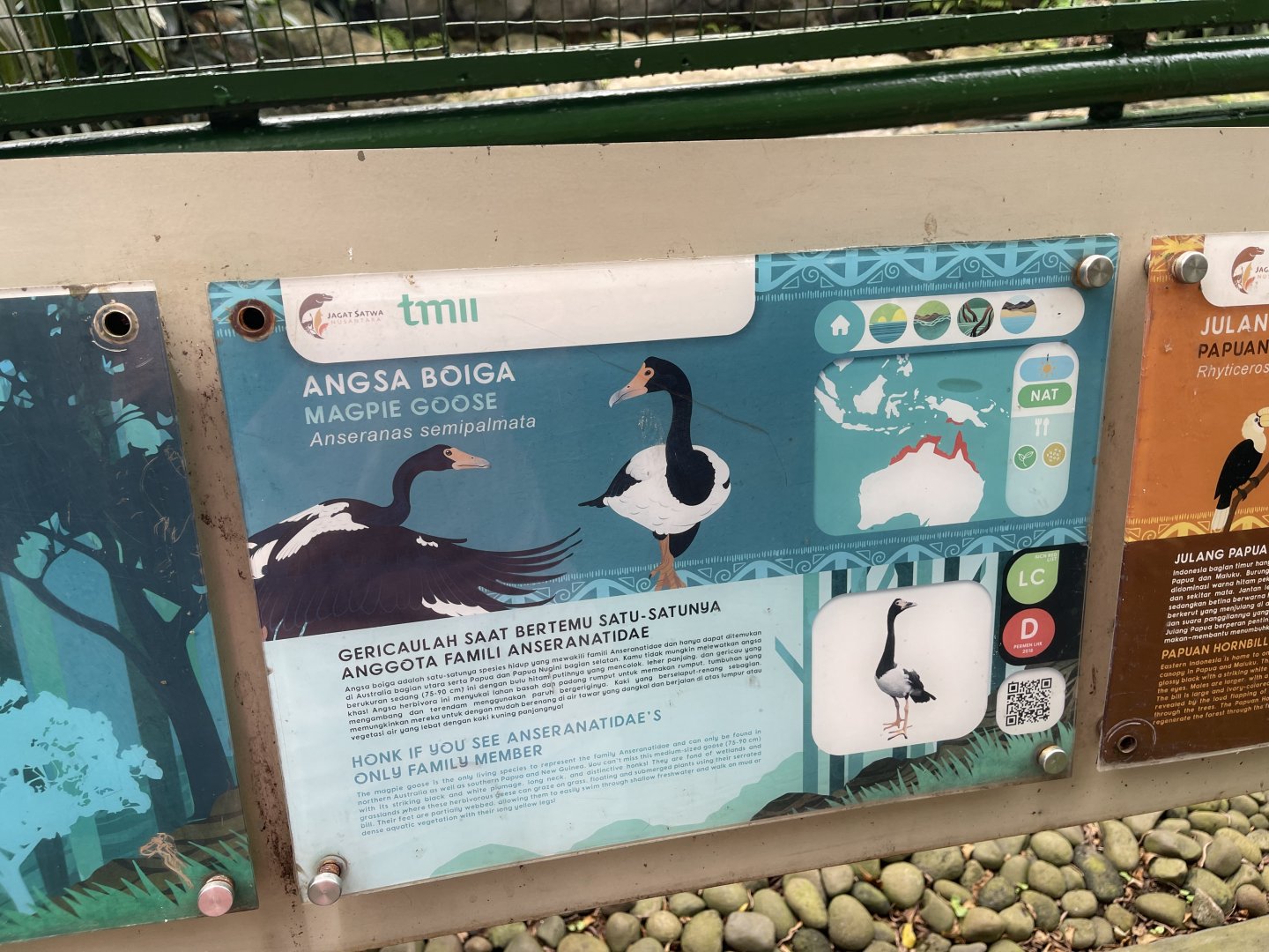 wallacea & sahul - magpie goose signage - taman burung