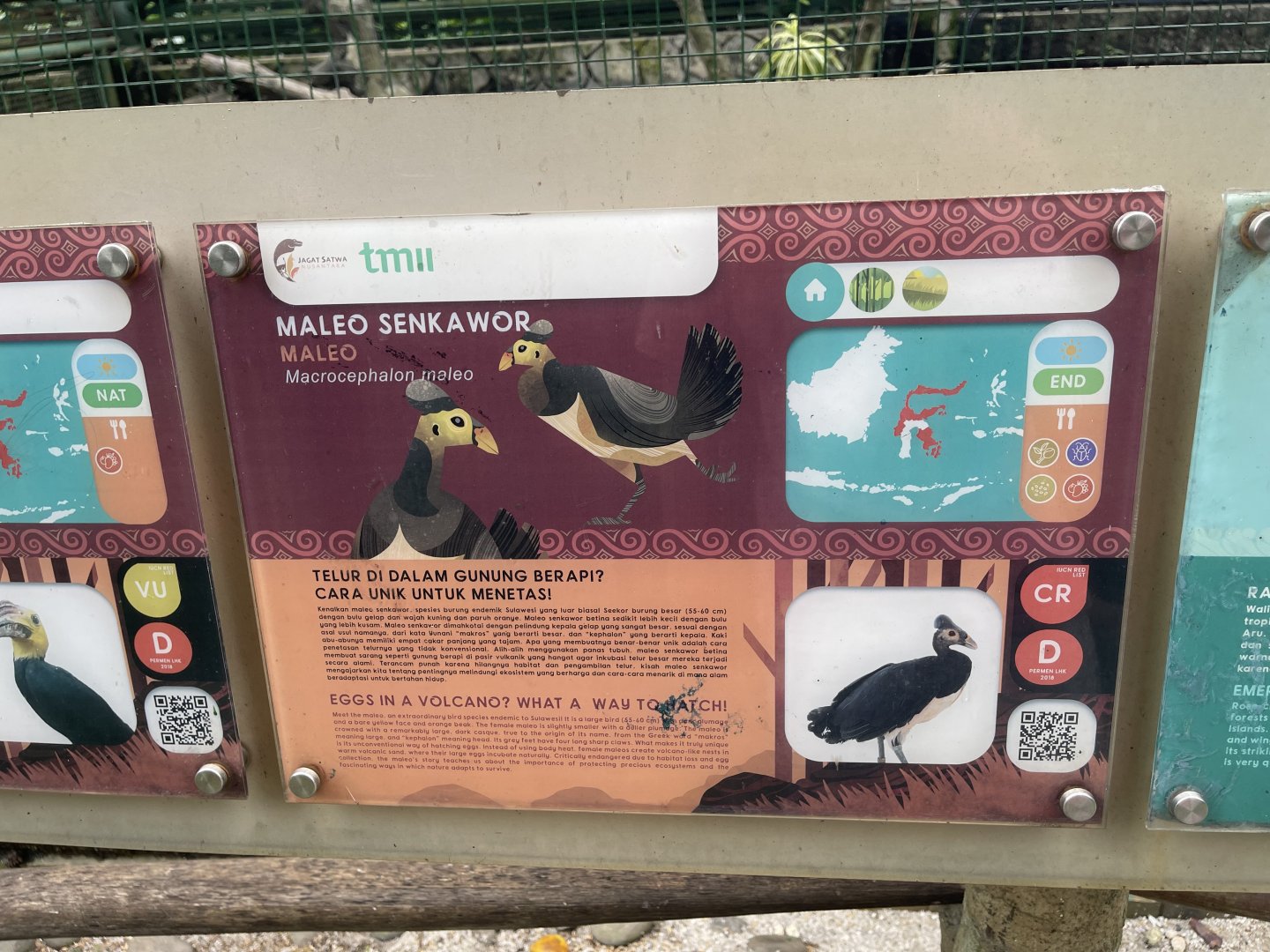 wallacea & sahul - maleo signage - taman burung