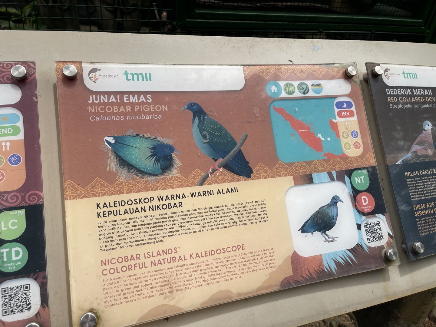 wallacea & sahul - nicobar pigeon signage - taman burung