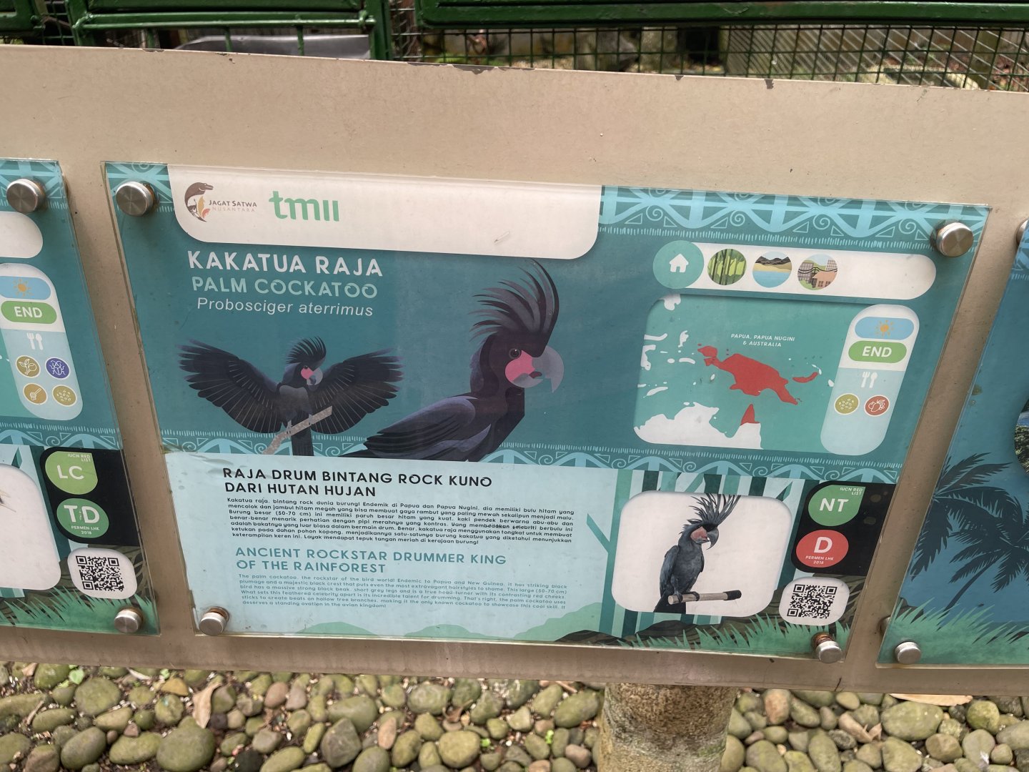 wallacea & sahul - palm cockatoo signage - taman burung
