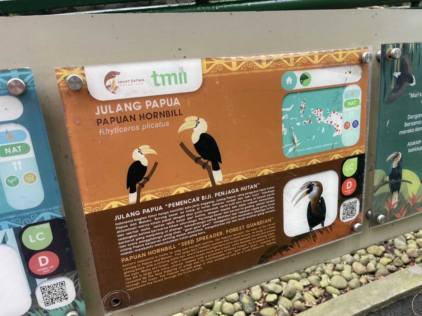 wallacea & sahul - papuan hornbill signage - taman burung