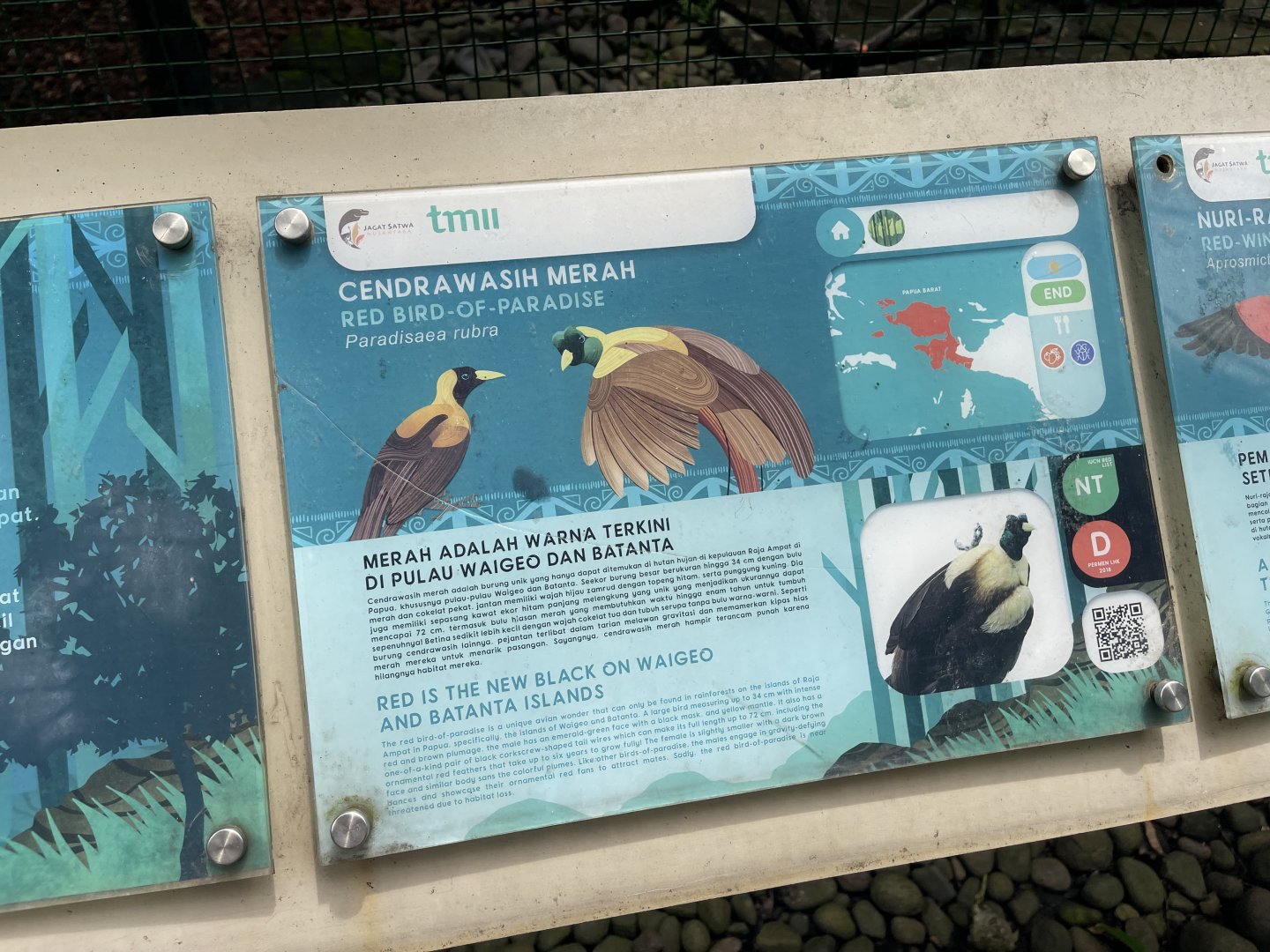 wallacea & sahul - red bird-of-paradise signage - taman burung