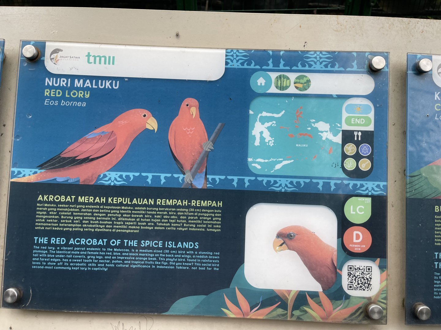 wallacea & sahul - red lory signage - taman burung