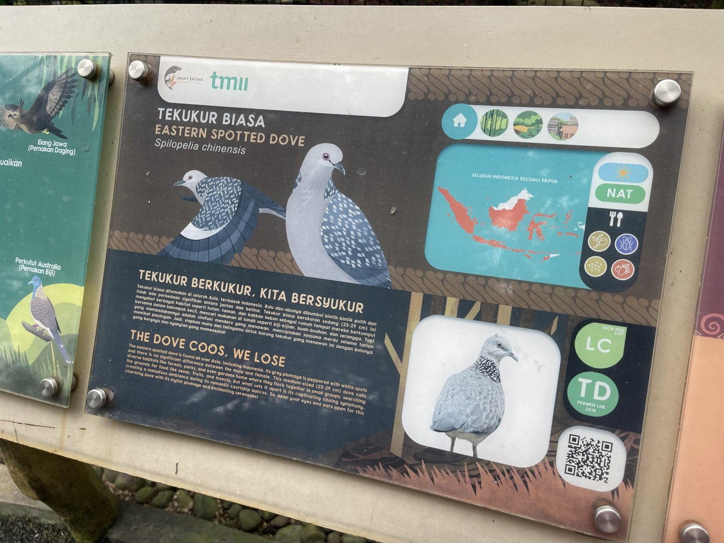 wallacea & sahul - spotted dove signage - taman burung