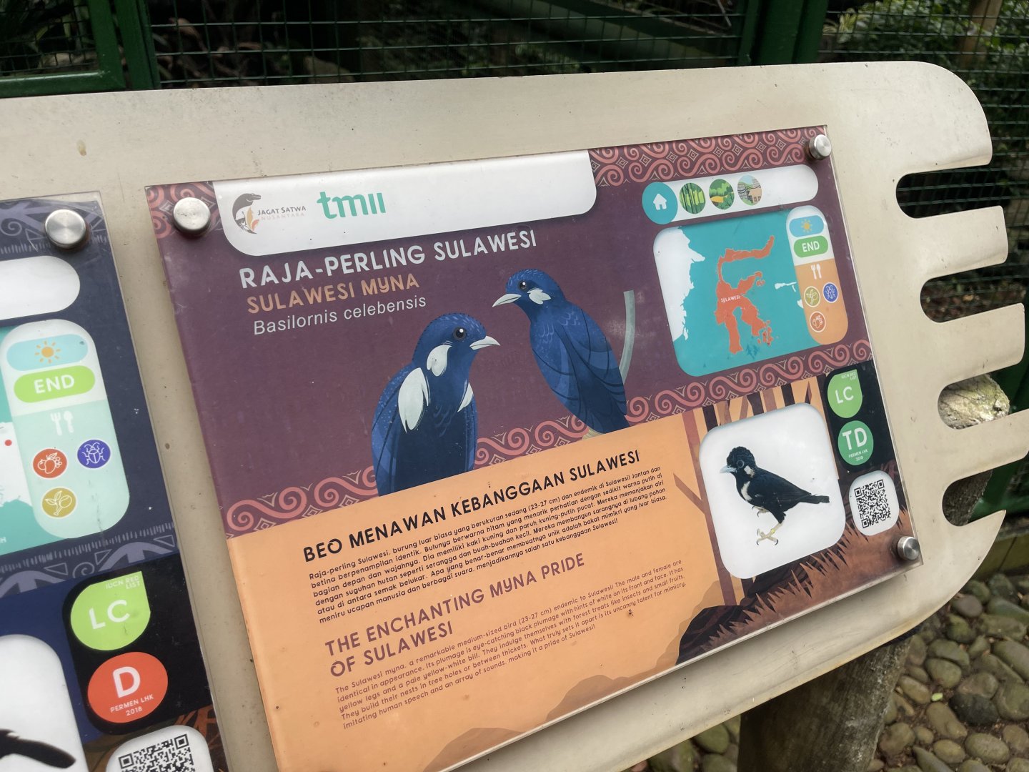 wallacea & sahul - sulawesi myna signage - taman burung