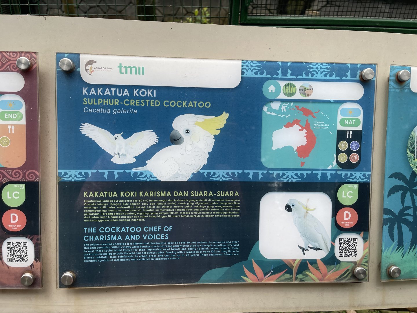wallacea & sahul - sulphur-crested cockatoo signage - taman burung