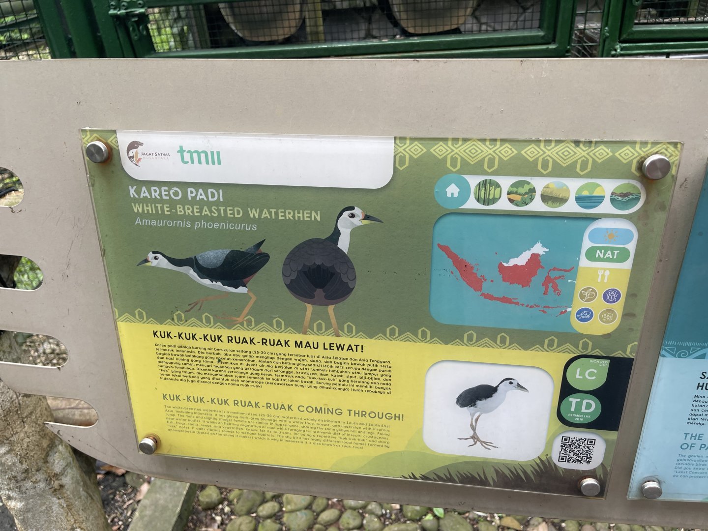 wallacea & sahul - white-breasted waterhen signage - taman burung