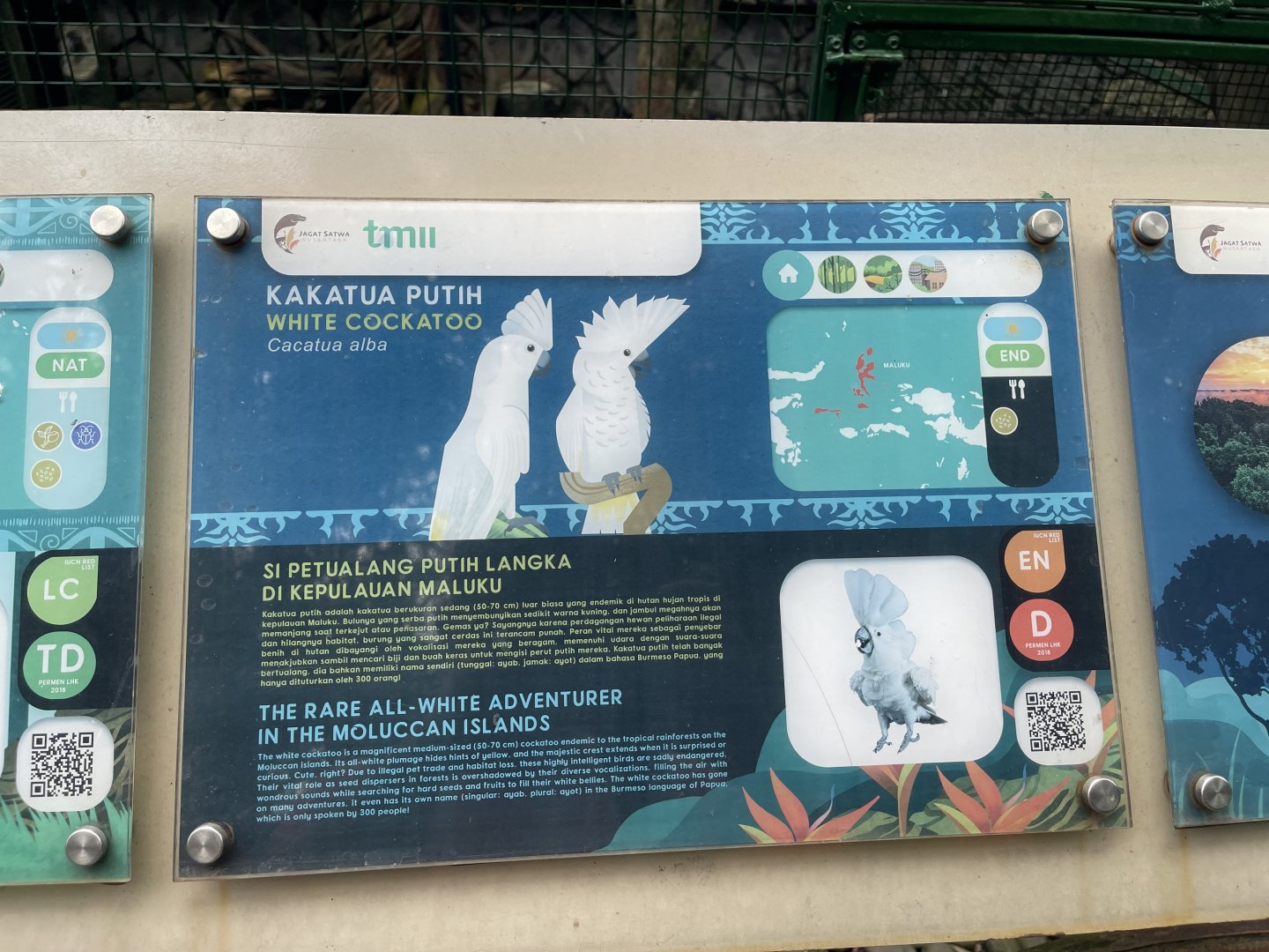 wallacea & sahul - white cockatoo signage - taman burung