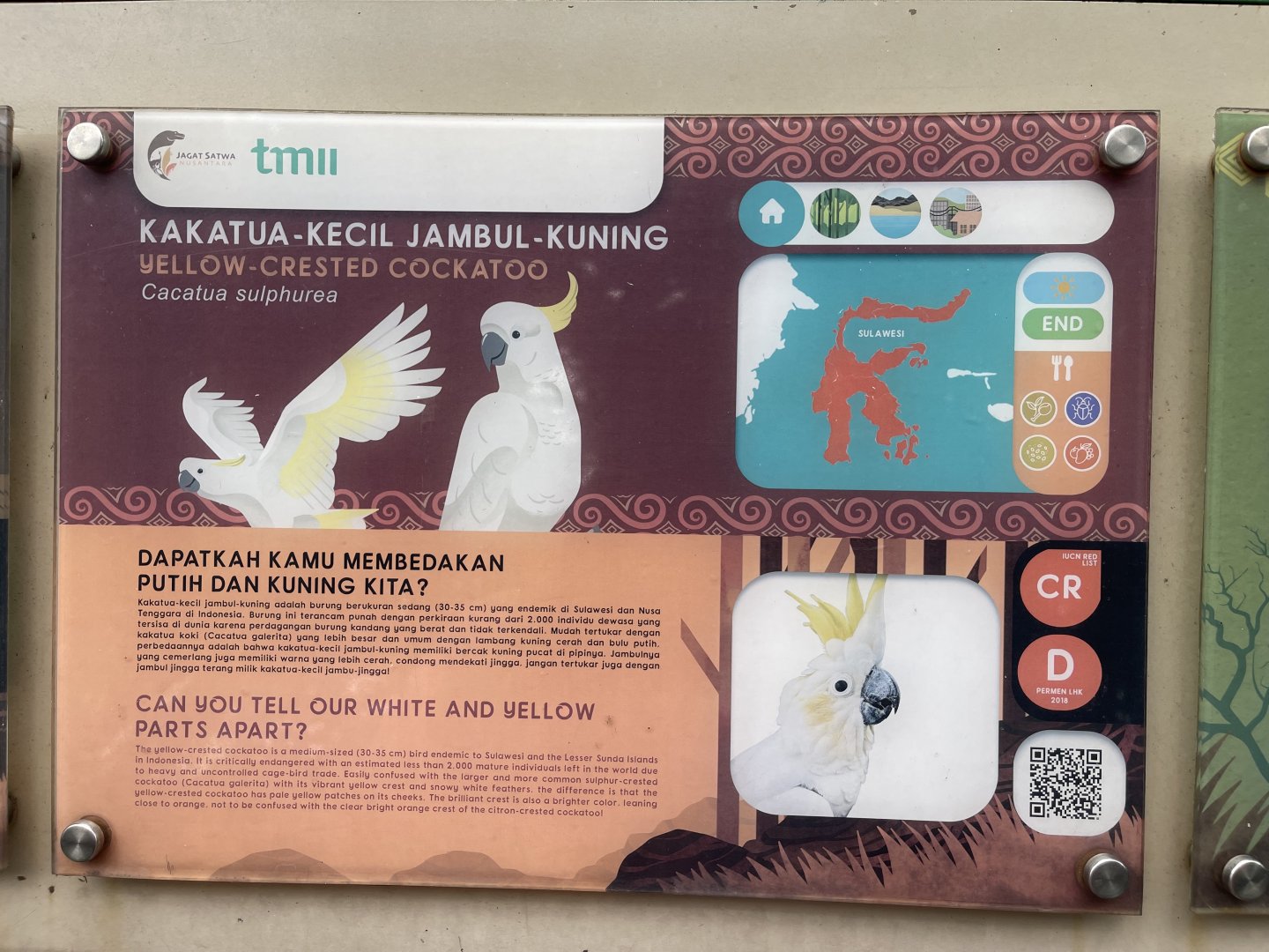 wallacea & sahul - yellow-crested cockatoo signage - taman burung