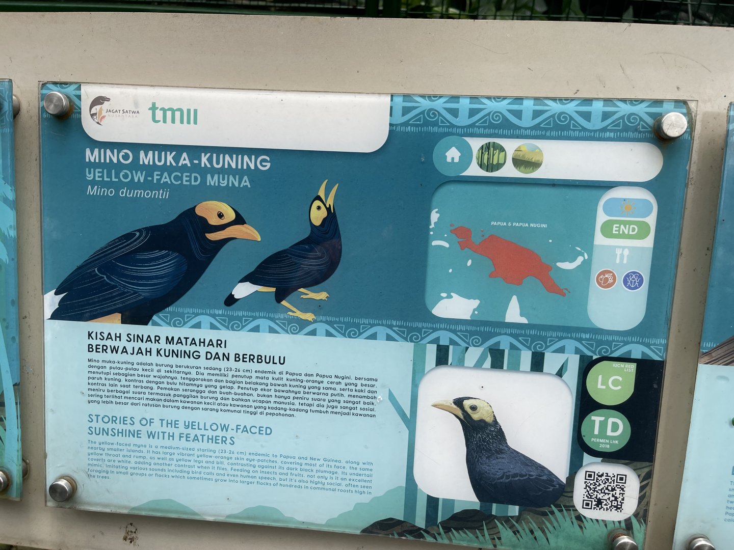 wallacea & sahul - yellow-faced myna signage - taman burung