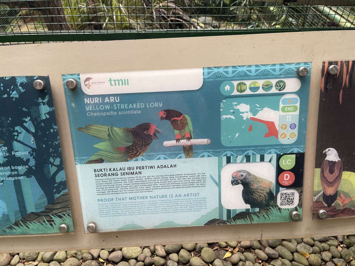 wallacea & sahul - yellow-streaked lory signage - taman burung