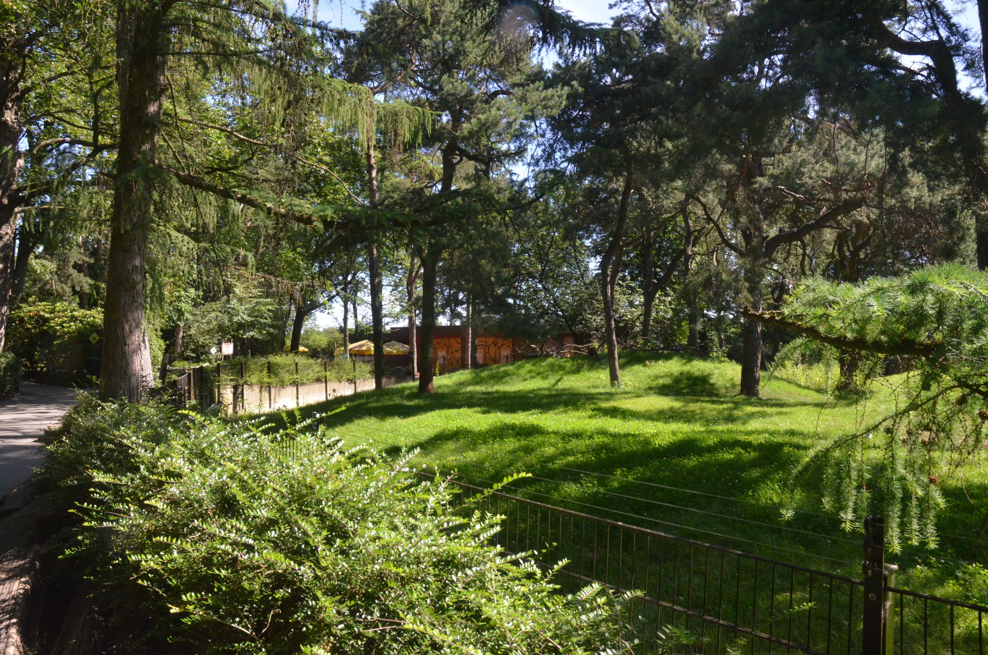Wallaroo and Swamp Wallaby Enclosure at Duisburg, 17/06/19