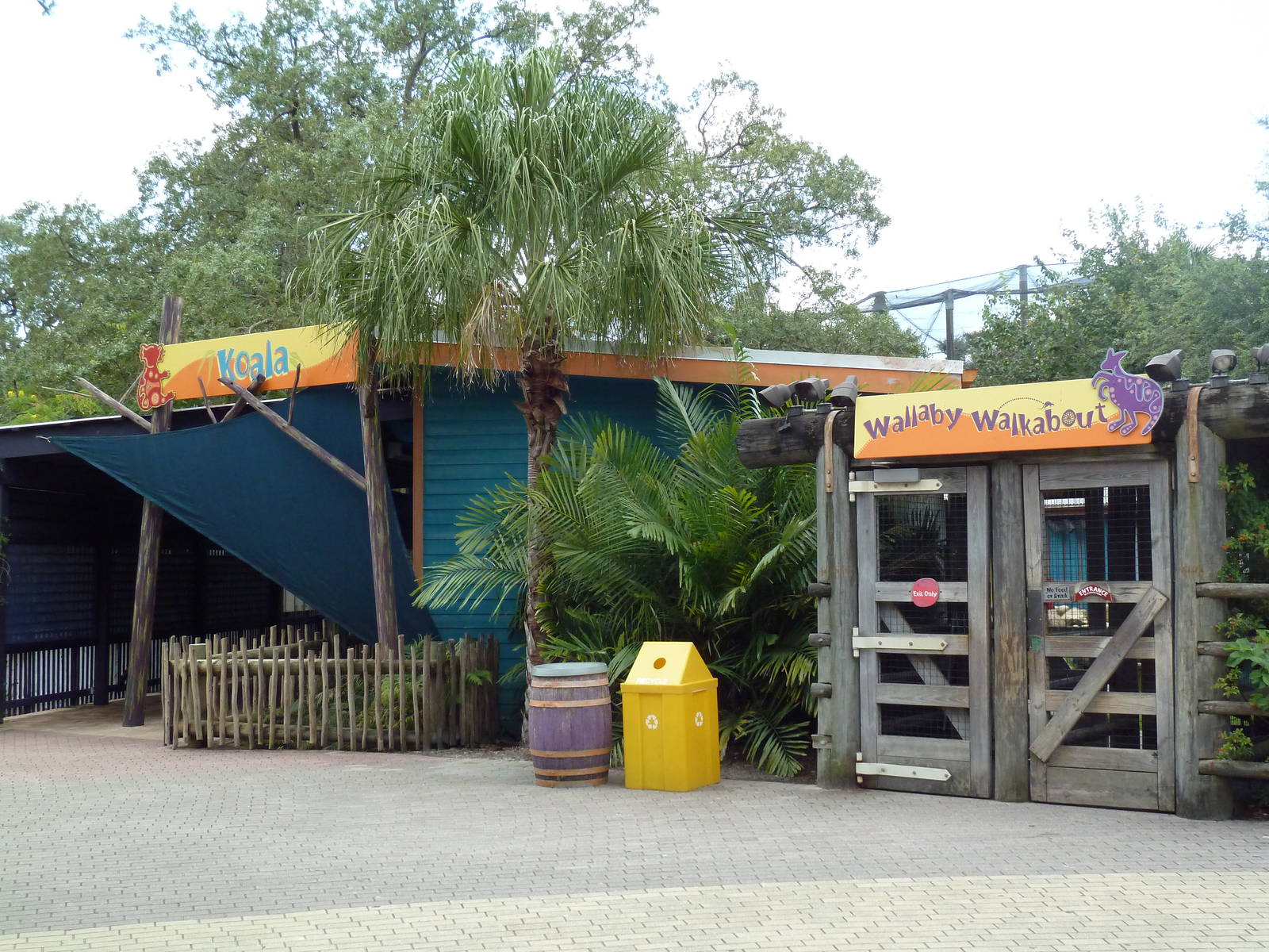 Wallaroo Station - Koala + Wallaby Exhibits