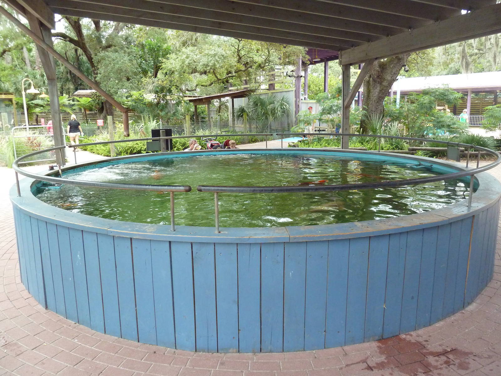 Wallaroo Station - Koi Pool