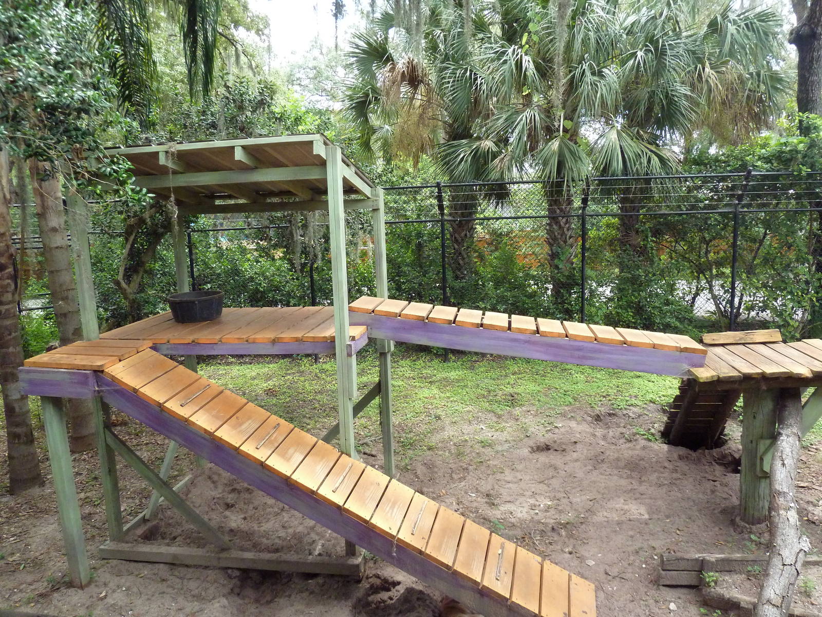 Wallaroo Station - New Guinea Singing Dog Exhibit