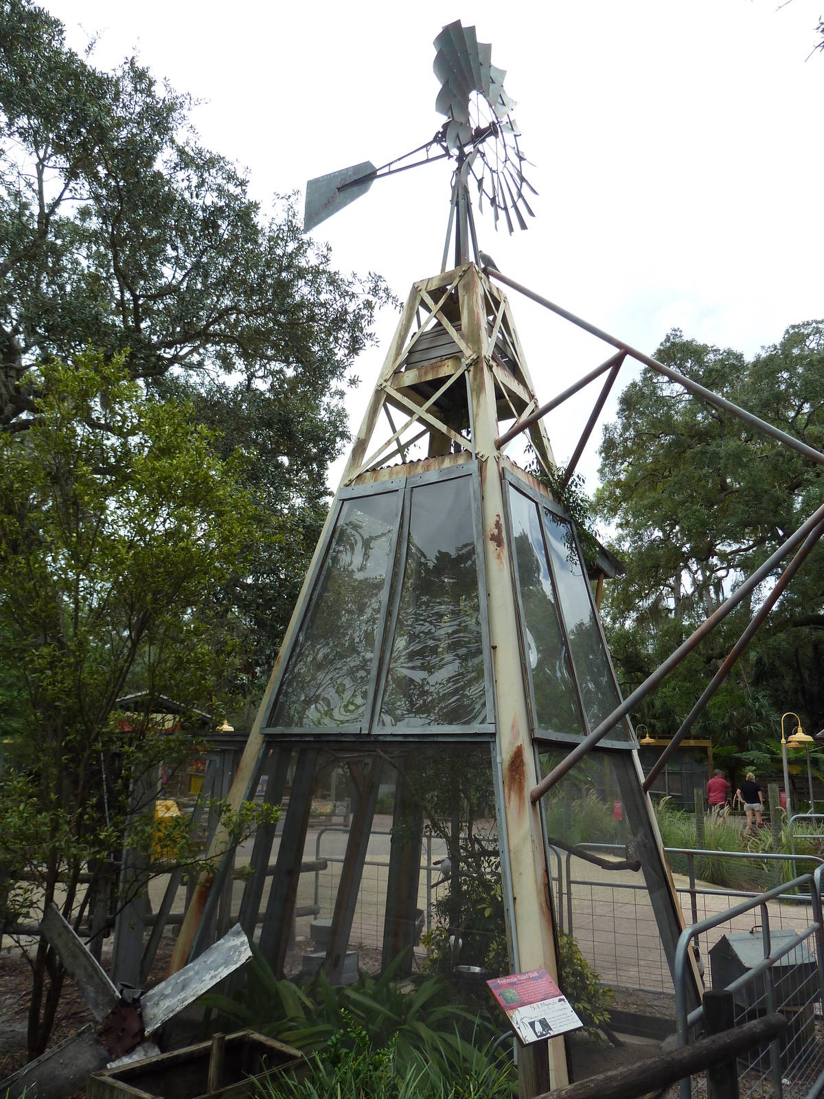 Wallaroo Station - Prehensile-Tailed Skink/Bali Mynah Exhibit