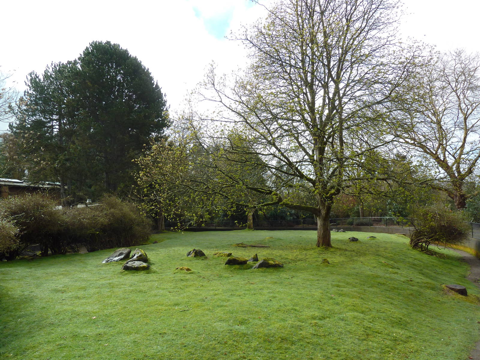 Wallaroo/Wallaby/Emu Exhibit