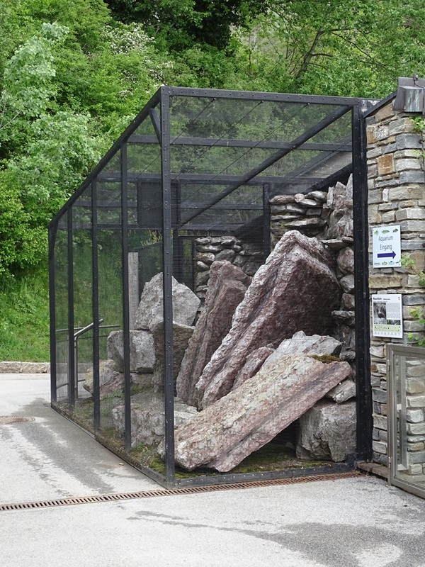 Wallcreeper aviaries