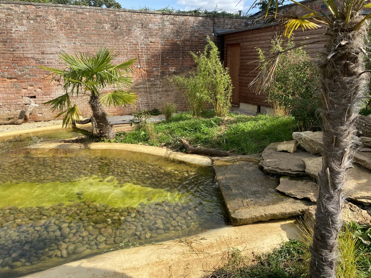 Walled Garden - Asian small-clawed otter enclosure 120920