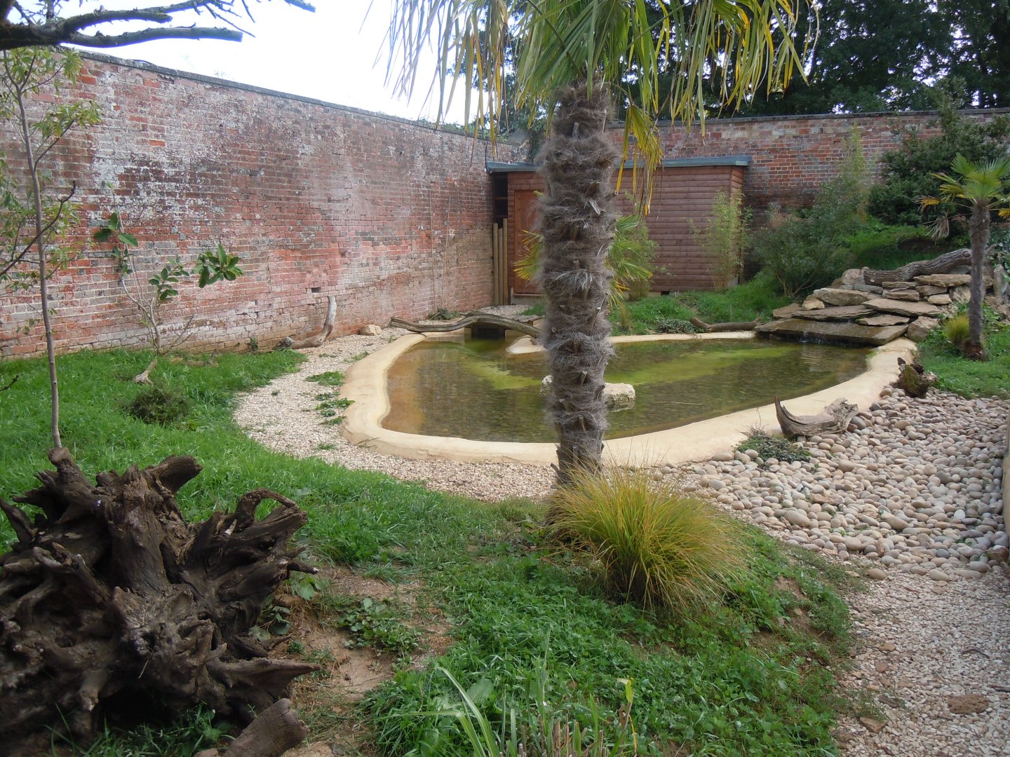 Walled Garden - Asian small-clawed otter enclosure 120920