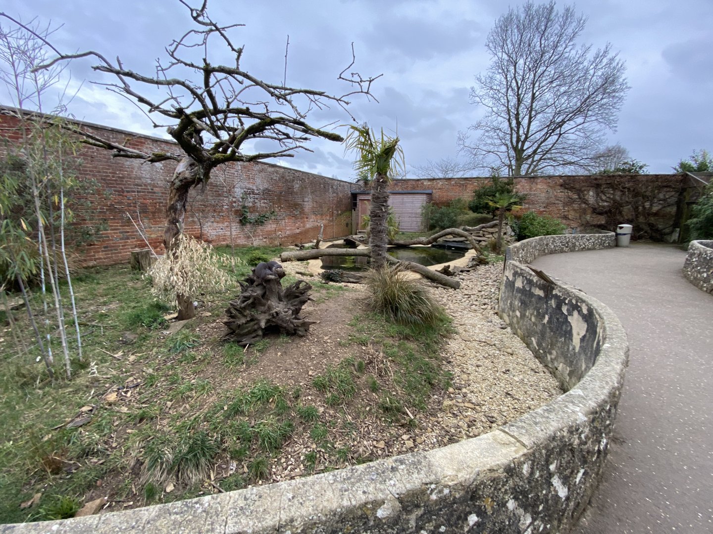 Walled Garden - Asian small-clawed otter enclosure 280222