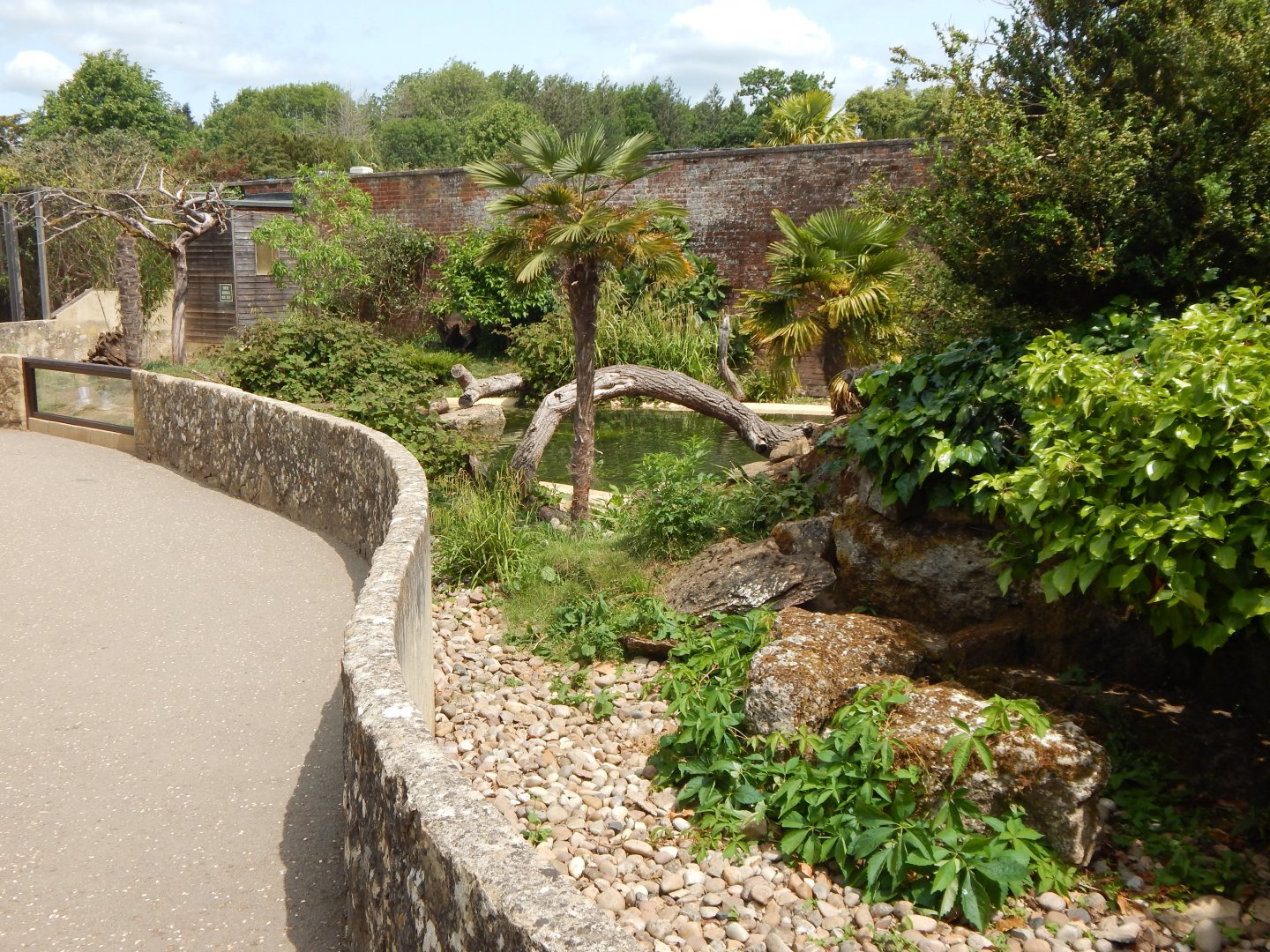Walled Garden - Asian small-clawed otter enclosure 310525