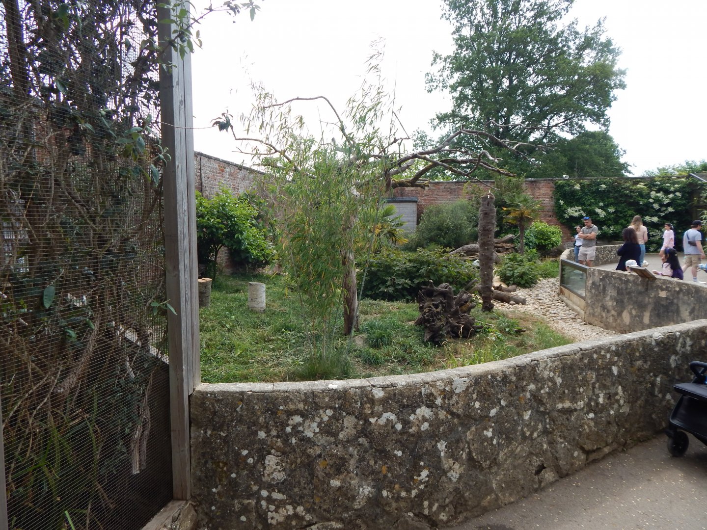 Walled Garden - Asian small-clawed otter enclosure 310525