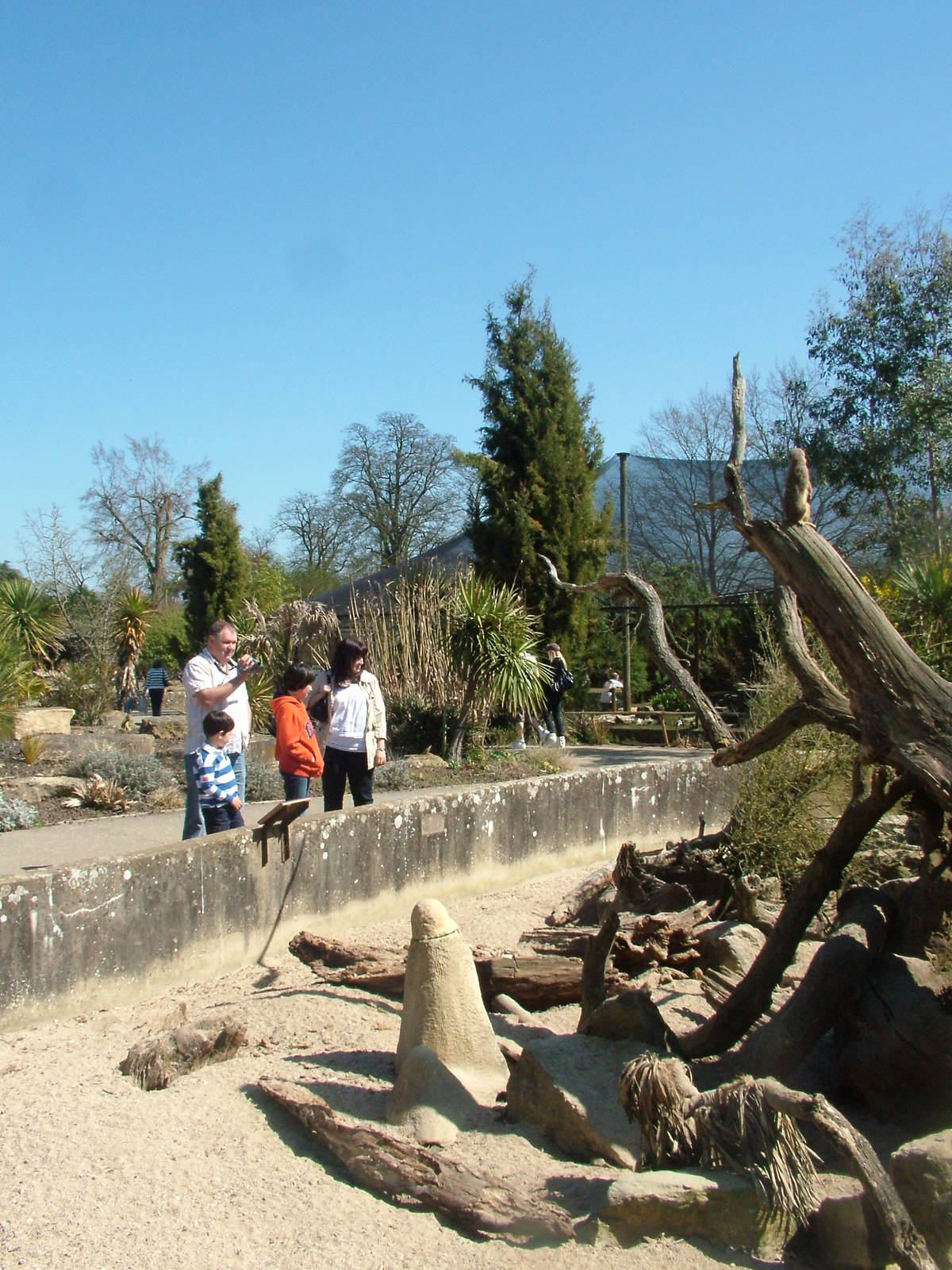 Walled Garden at Cotswold WP 17/04/10