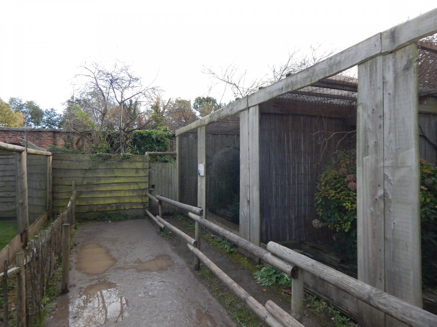 Walled Garden aviaries 051123