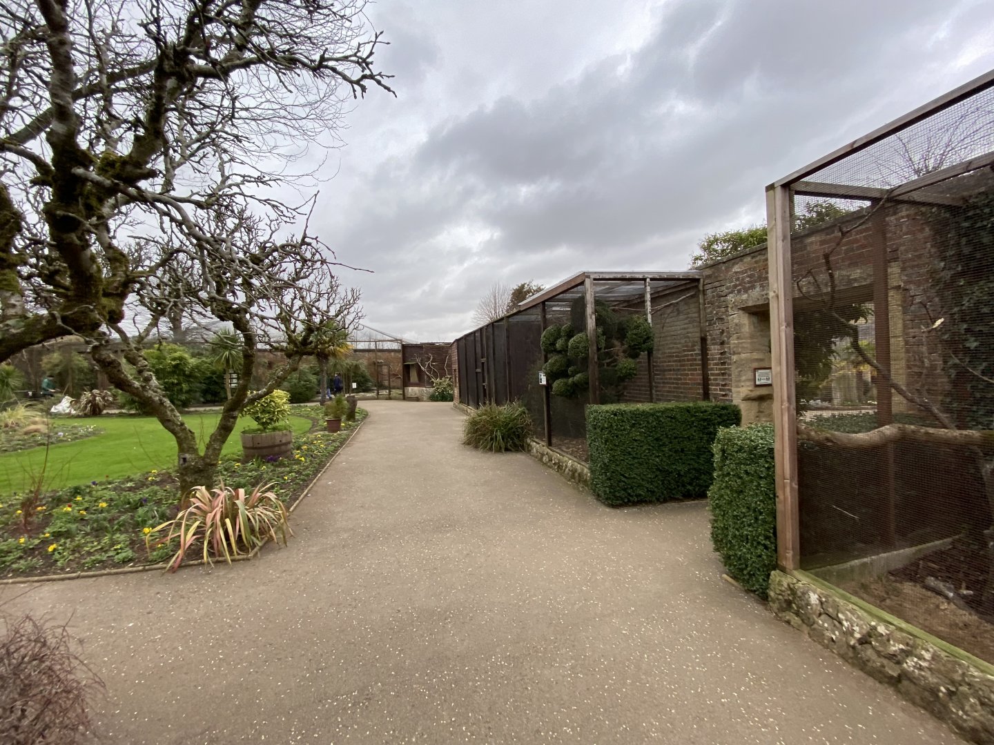 Walled Garden - Aviaries 280222