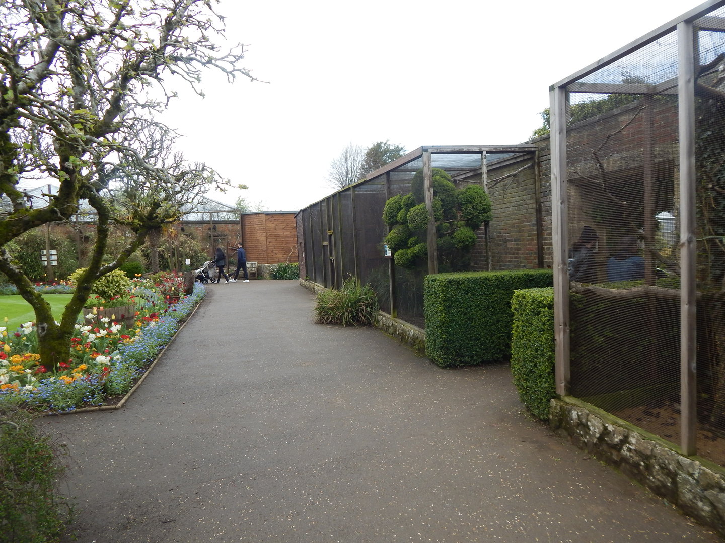 Walled Garden aviaries 280423