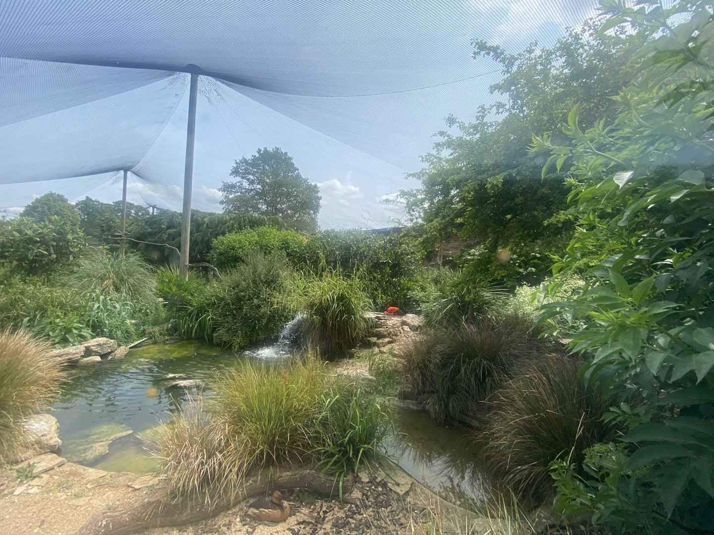 Walled Garden Aviary 310525