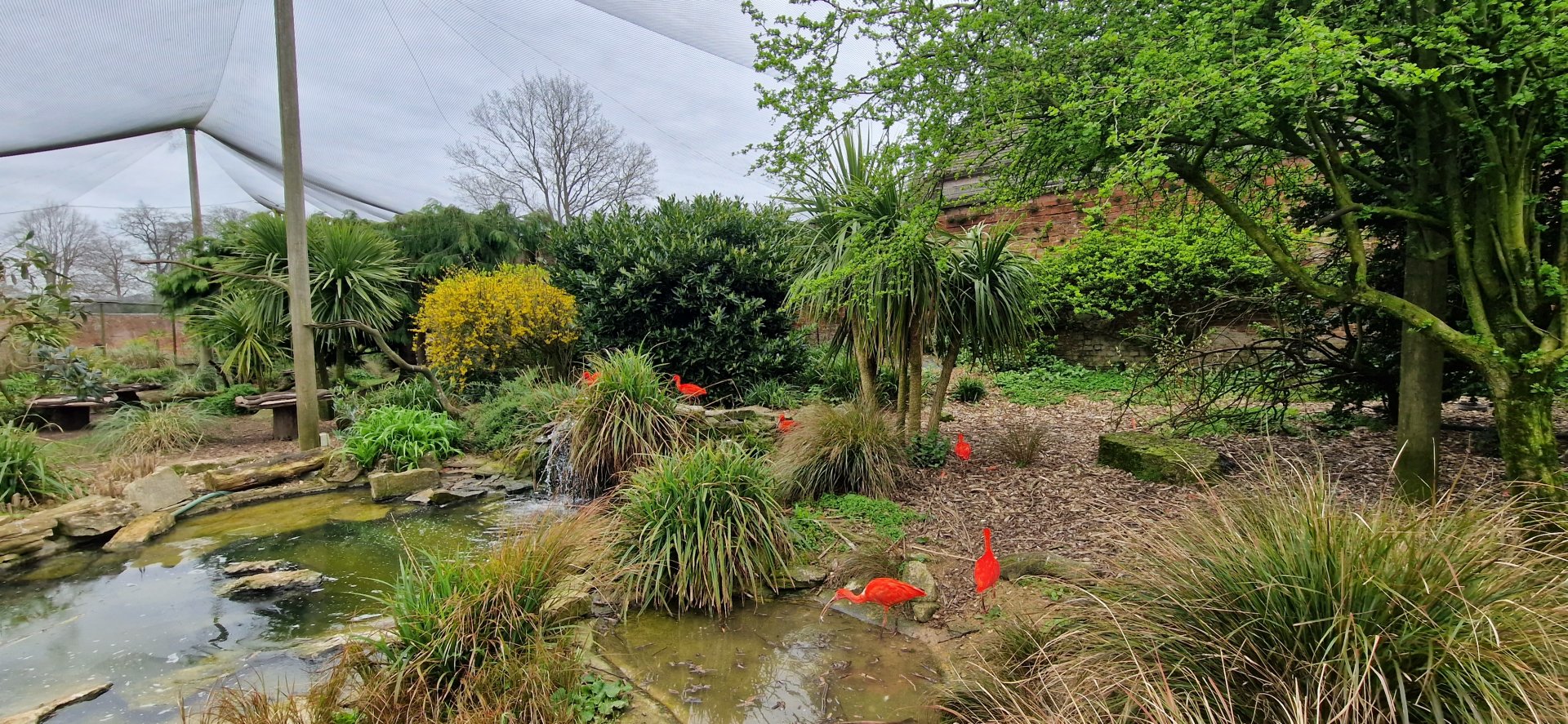 Walled Garden Aviary