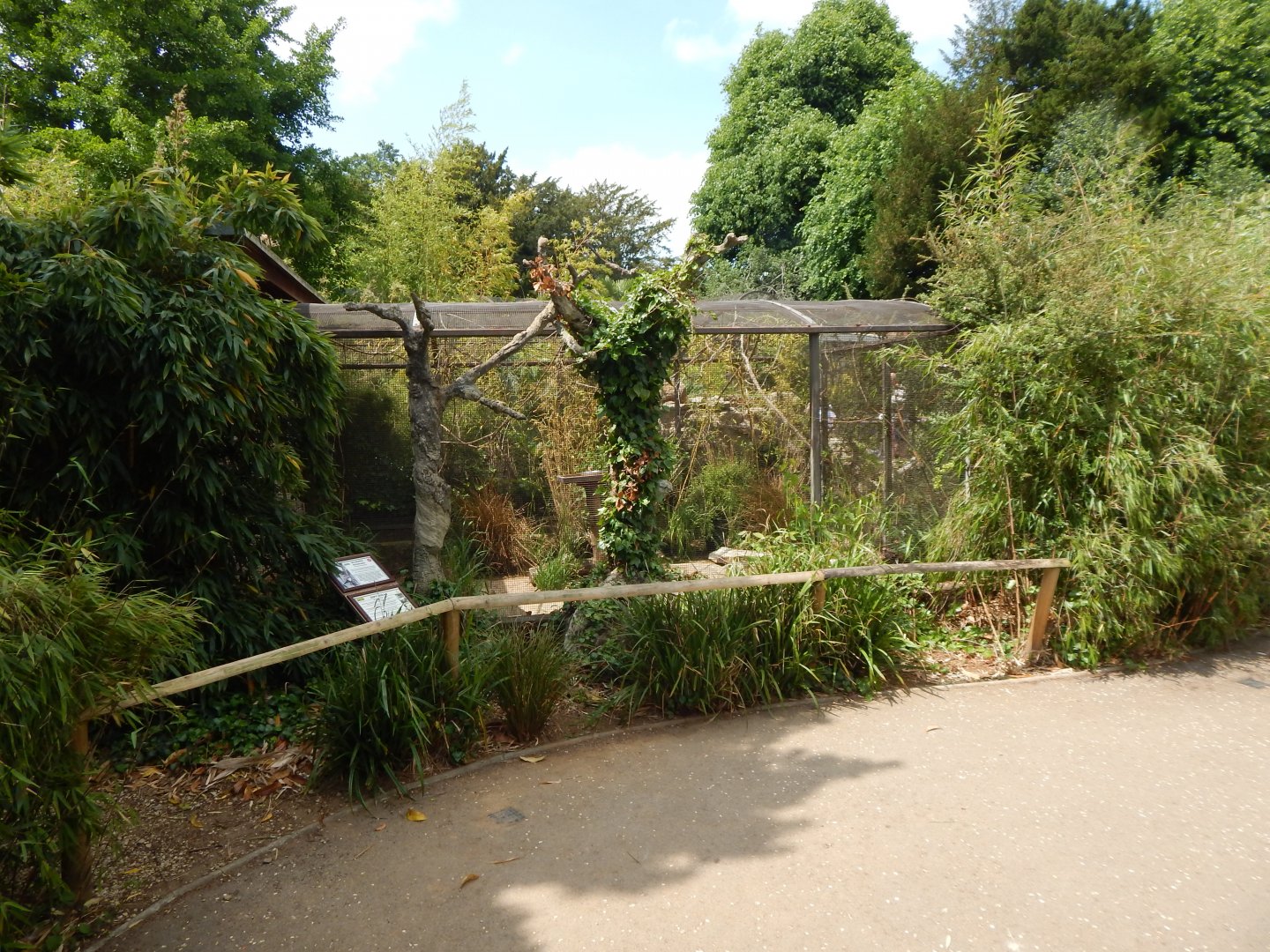 Walled Garden - Bearded tit aviary 310525