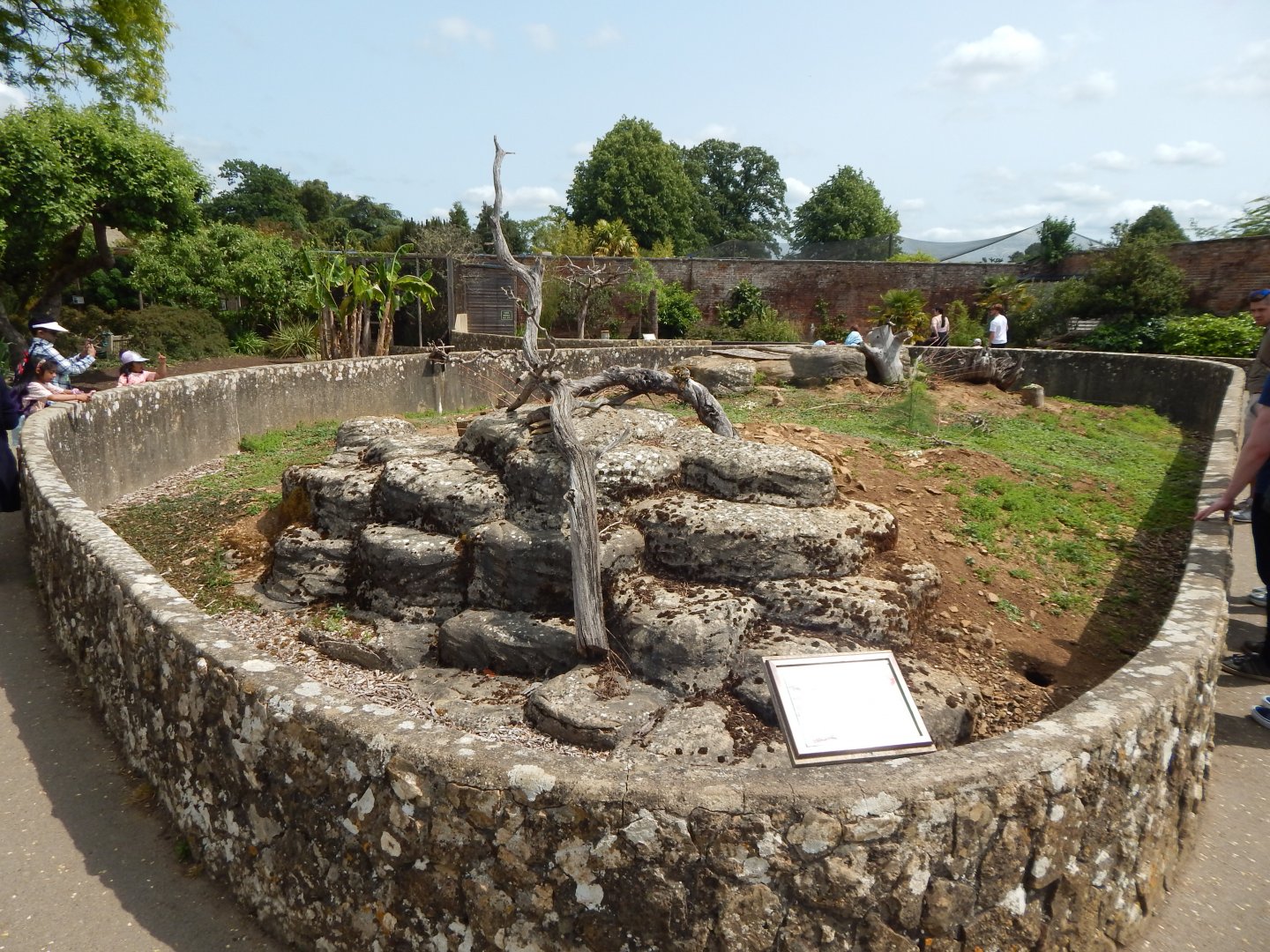 Walled Garden - Black-tailed prairie dog enclosure 310525