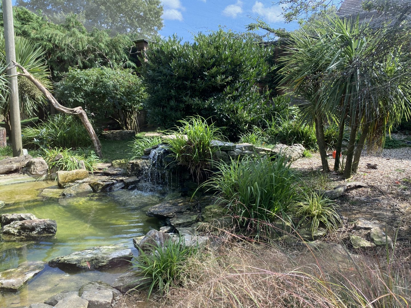 Walled Garden - Former walkthrough aviary 120920