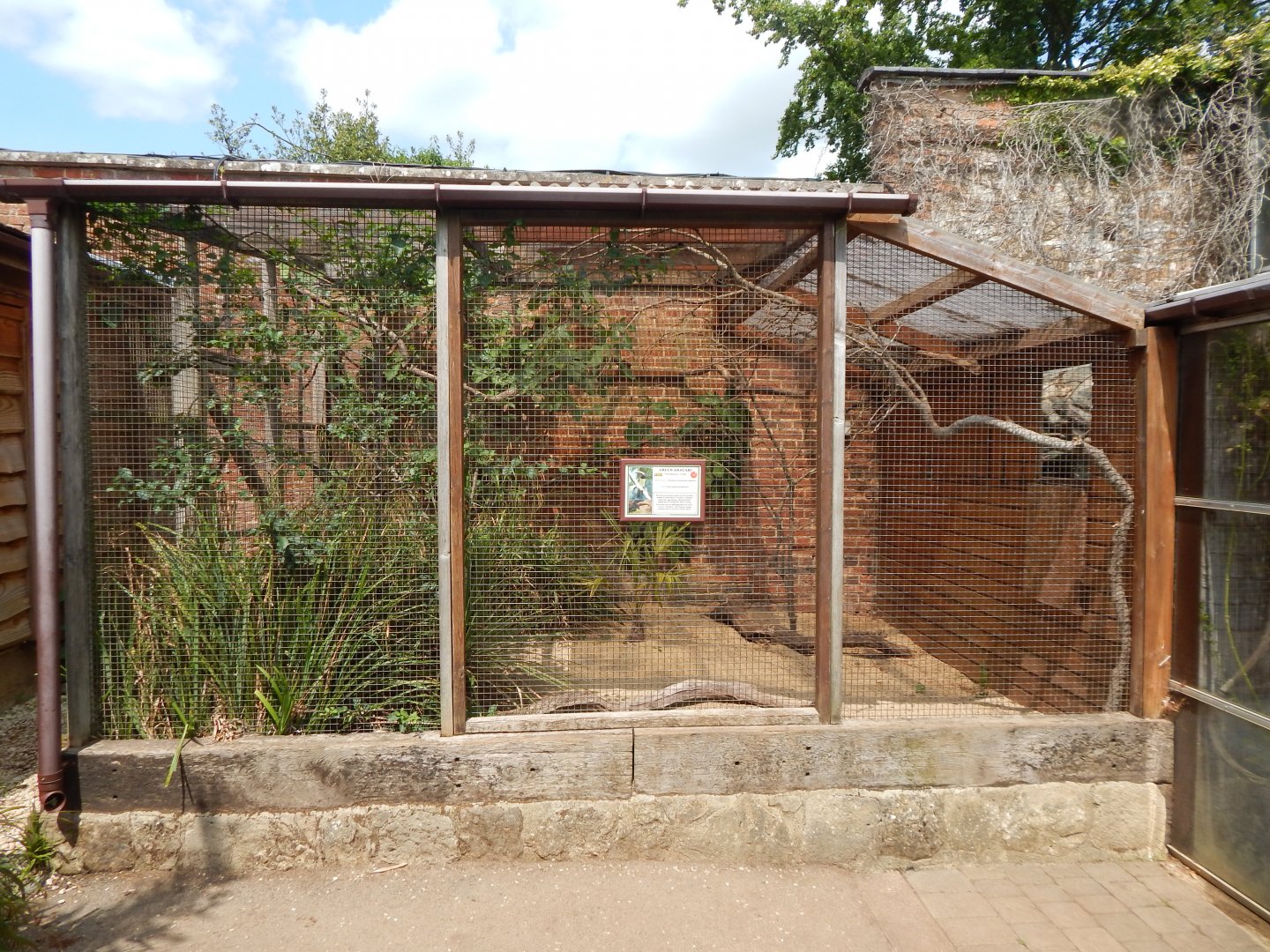 Walled Garden - Green aracari aviary 310525