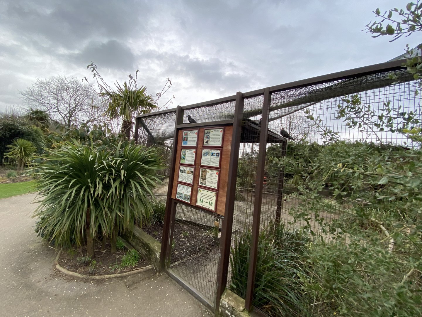 Walled Garden - Large aviary 280222